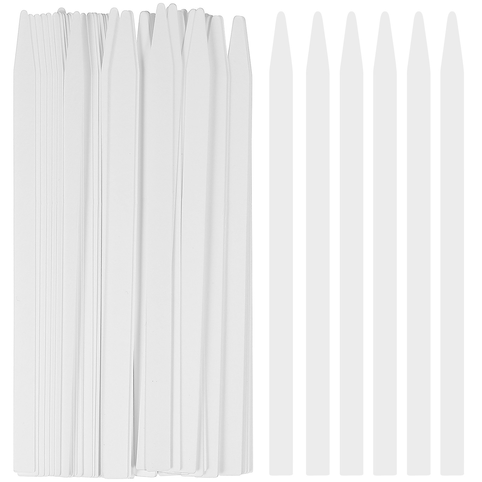 100Pcs Fragrance Test Strips P - Perfume Fragrance Test 评论和价格